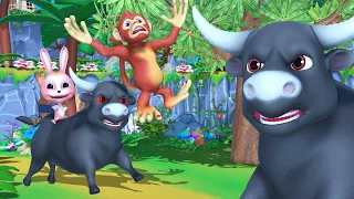 Top Funny Animal Expert Reveals Bull vs Monkey Secrets!