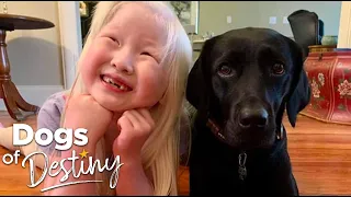 “When Lillie Met Sally” | Dogs of Destiny