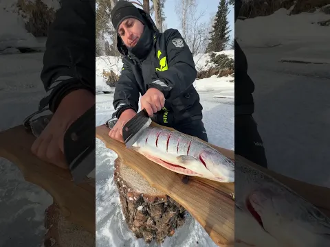 Fishing🔥 #fishing #cooking #survival #carpfishing #food