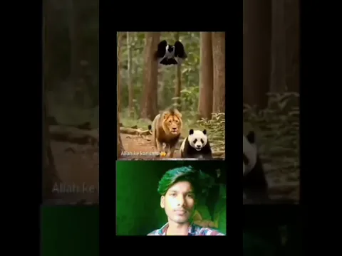 Allah Likhe