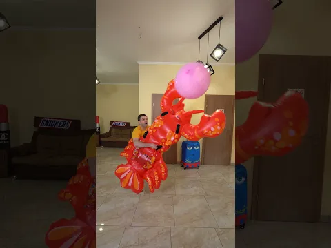 balloon 🎈 travels - best videos 😱🤣