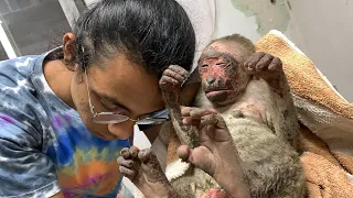 BABY MONKEY ALMOST BURNT ALIVE