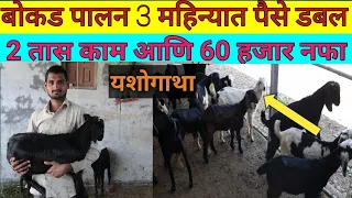 बोकड पालन ३ महिन्यात पैसे डबल  | बोकड पालन यशोगाथा  |bokd paln |