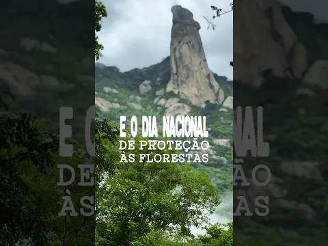 Dia Nacional de Proteção às Florestas e também o Dia do Curupira | Governo Federal