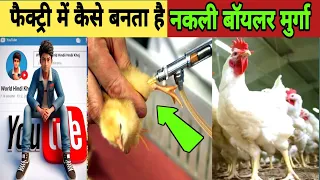 fake chicken नकली चिकेन कैसें बनाते है | how broiler chickens are produced