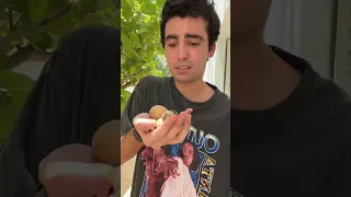 ¿QUÉ PASÓ CON LOS HUEVOS QUE NO BROTARON? 🥚💭