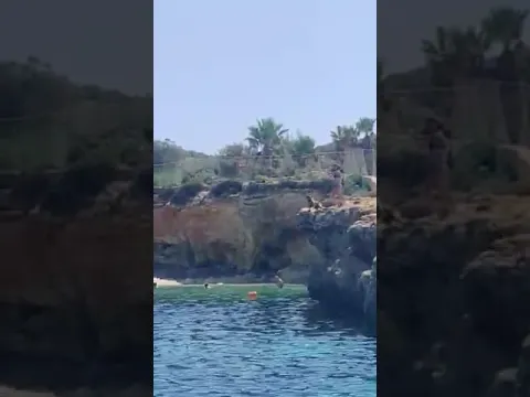 Dog jumping off a cliff