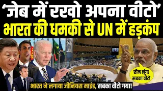 UN में भारत ने खोल डाली वीटो पावर वालों की सच्चाई, सबका रद्द होगा Veto Power, सपोर्ट में दुनिया