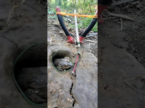 Survival Skills: SIMPLE and USEFUL. with.Trap frogs with claws  #bushcraft #camping #outdoors