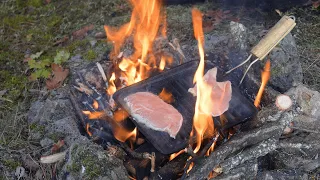 Cooking chicken breasts on cast iron (Nature ASMR)