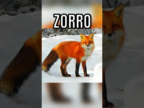 ANIMALES ENCONTRADOS CONGELADOS EN EL HIELO 🦊😨 #youtube #shorts #youtubeshorts