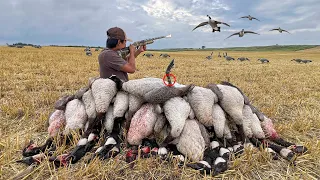 EPIC Early Season Goose Hunting! (WE SHOT A BAND)