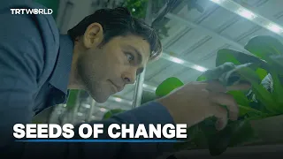 Seeds of Change