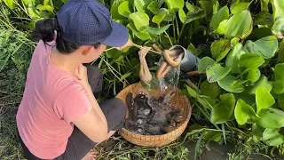 Unbelievable Oil Fishing - Unique Fish Trapping System With Primitive Technology Catching Big Fish