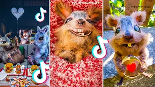 EGOFILM TIKTOK BESTOF - TIKTOK'S MOST FAMOUS SQUIRREL - PART 2 (TikTok & Short Compilation) 🐿️🐿️