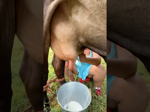 Ordeñando 🥛