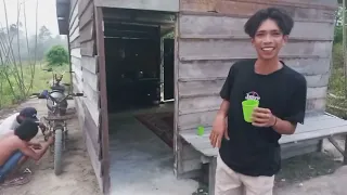 Jangan nonton kalau tidak ingin sakit perut ngakak 😅🤣😂 KONSER DI POHON SINGKONG