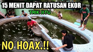 DIJAMIN KEWALAHAN! PANEN NILA DENGAN MENEBAR RATUSAN PANCING BOTOL dalam sekejap dapat ratusan ekor