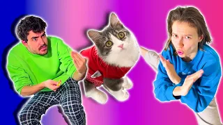 TikTok CosefNastya Cat Videos 😢