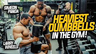 Larry Wheels HEAVIEST Dumbbell Press in my gym!