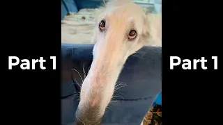 Didn’t I do it for you - Part 1 to 7