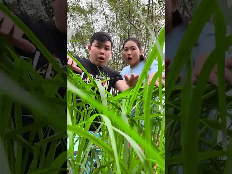 Tenge Tenge, Funny couple #trending #funny #couple #shorts
