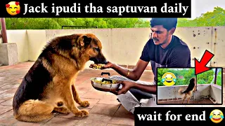 JACK TUTY | WAIT FOR END 😂| JACK IPUDI THA SAPTUVAN DAILY 😍| #jack #food #funny #doglover #trending