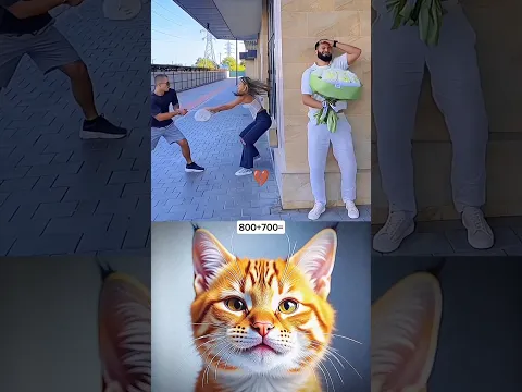 bro got it wrong 🥺 #cat #memes #trendingshorts #trollface #viral