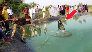 हरियाणा के इस गांव में 200 साल बाद अचानक तालाब से निकली जिंदा इच्छधारी नगिन | Haryana News live