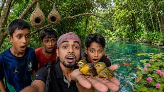 বাবুই পাখির বাসা দেখতে আজকে সবাই মিলে গেলাম ! Babui pakhir basha.!
