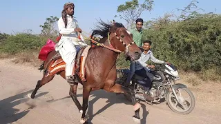 रेवाल चाल रेस || Rewal Chal Race in hamiramora mundra kutch 2022