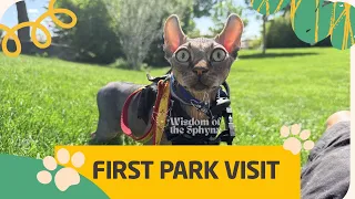Baby G Meets a Dog for the FIRST Time 😱👽 | Chaos Alien Goes to the Park