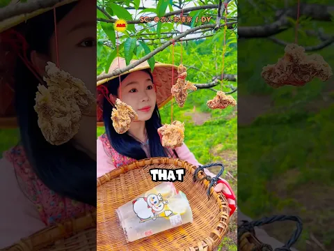 Tanaman Cewek ini Bikin Semua Orang Ngiler 🤤 #shorts