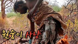 원숭이를 잡아먹는 원시부족 Hadzabe 🇹🇿21