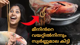 മീനിൻറെ വയറ്റിൽ നിന്നും 10 പവൻറെ സ്വർണമാല കിട്ടി  | GOT THE GOLD CHAIN FROM THE FISH'S STOMACH"😱