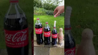 Experiment Coca Cola, Fanta, Sprite vs Mentos#Shorts