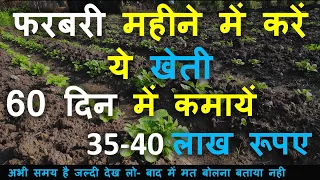 फरबरी महीने में करें ये खेती 60 दिन में कमायें 35-40 लाख रूपए | Smart Business Plus