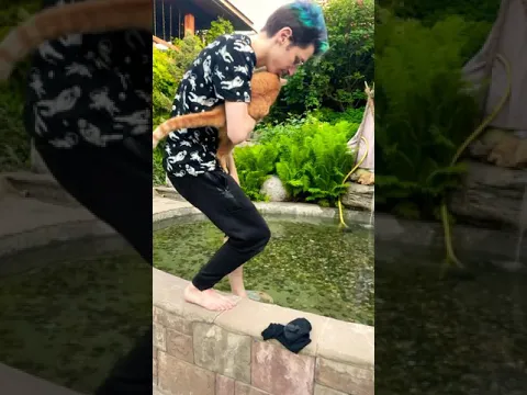 Симба очень испугался🙀💦