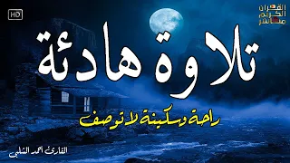 قران كريم بصوت جميل جدا قبل النوم 😌 راحة نفسية لا توصف 🎧 Quran Recitation