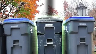 A Mysterious Fragile Box Found In The Trash