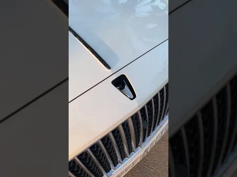 محد يقدر يسرق شعار بنتلي