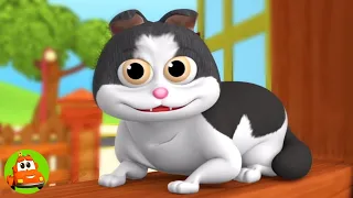 म्याऊं म्याऊं बिल्ली करती, Meow Meow Billi Karti, Kids Poems In Hindi and Baby Songs