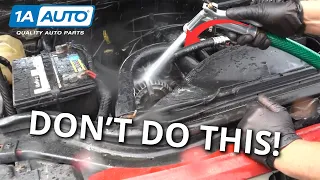 Don't Just Spray Your Car's Engine Bay! Right and Wrong Way to Clean an Engine Bay!