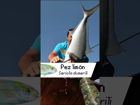 Día 7 Comiendo solo lo que pesco