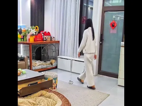 El perro se ganó una segunda oportunidad en la vida