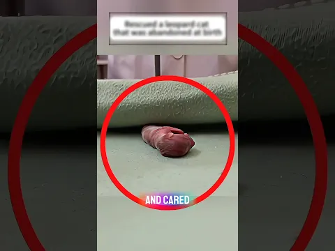 لاتنظر اليه 💔 لن تصدق ما تراه؟! #shortvideo #shortsviral #shorts
