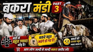     Bakra Mandi Part 3 Mandi Me Pair Rakhne Ki Jagah Nahi😱| Bakre Mehange + Halat Kharab #youtube 