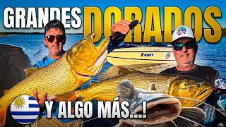 ¡Pesca de Dorados Gigantes, Pirañas y un blooper inolvidable! 🤣🎣 🎣🐟🇺🇾