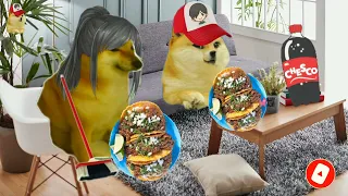 Niño con derecho me quiere quitar mis tacos Hilos de doge y cheems #cheems #historias #memes