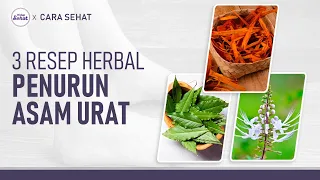 Mudah Dibuat! Berbagai Ramuan Asam Urat Hanya Satu Bahan | Hidup Sehat tvOne